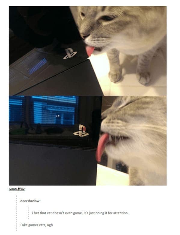 A cat licks a PlayStation console while a tumblr user questions its gamer credentials, classic funny cat tumblr post territory.