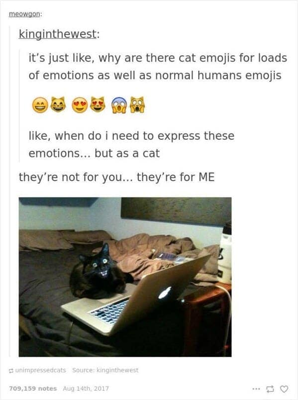A black cat stares at a laptop while a tumblr post muses about cat-specific emojis, a quintessential funny cat tumblr post moment.