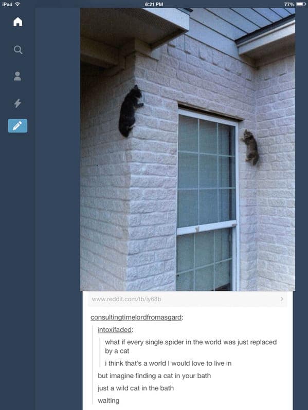 Two cats cling to the exterior wall of a house like ninjas, which fits right into the absurdity of funny cat tumblr posts.