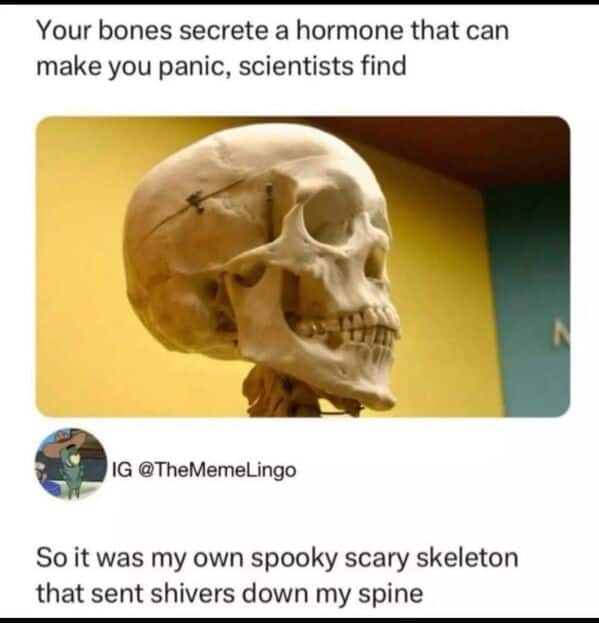 Skeleton photo with comment about spooky scary skeleton causing fear.