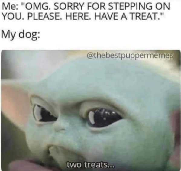 Baby Yoda meme reaction to dog getting two treats in funny dog memes style