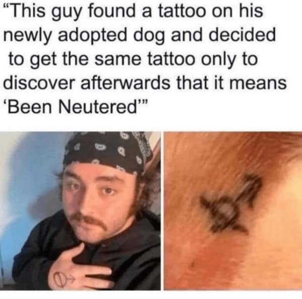 Man copies dog’s neuter tattoo in funny dog memes twist