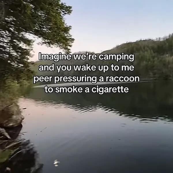 Funny meme about peer pressuring a raccoon to smoke a cigarette while camping.