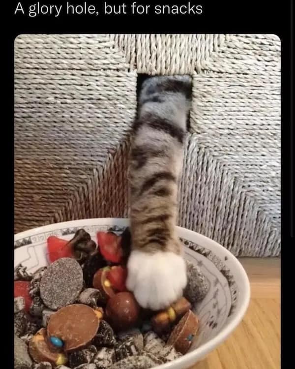 Tweet saying being insane is a family legacy