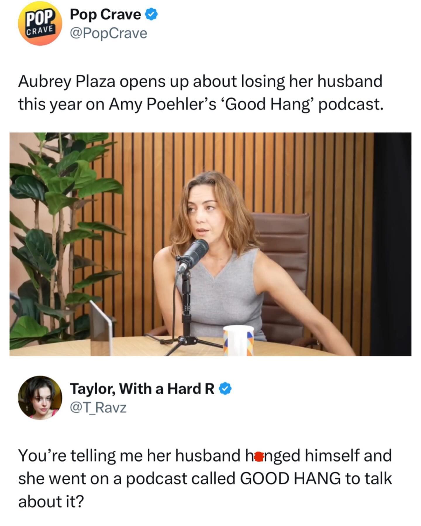 A dark humor meme pointing out the unfortunately named podcast where Aubrey Plaza discussed her husband's death.