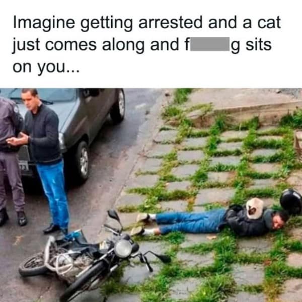A funny meme of a cat casually sitting on the back of a man as he's being arrested by police.