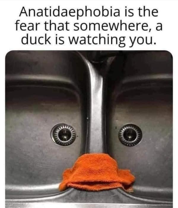 A funny meme explaining Anatidaephobia with a picture of a kitchen sink that looks like a duck.