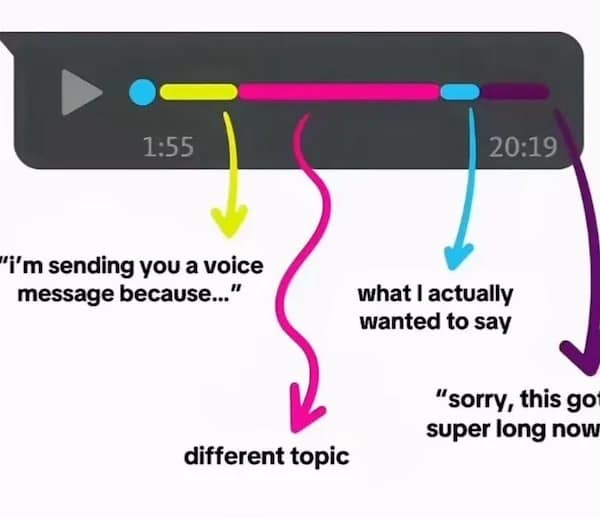 Color-coded diagram of a long voice message with humorous labels