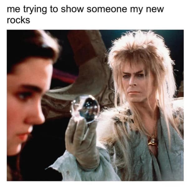 Meme of David Bowie as Jareth from Labyrinth showing a crystal ball with caption “me trying to show someone my new rocks.”