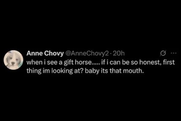 A funny meme and tweet that makes a literal joke about looking a gift horse in the mouth.