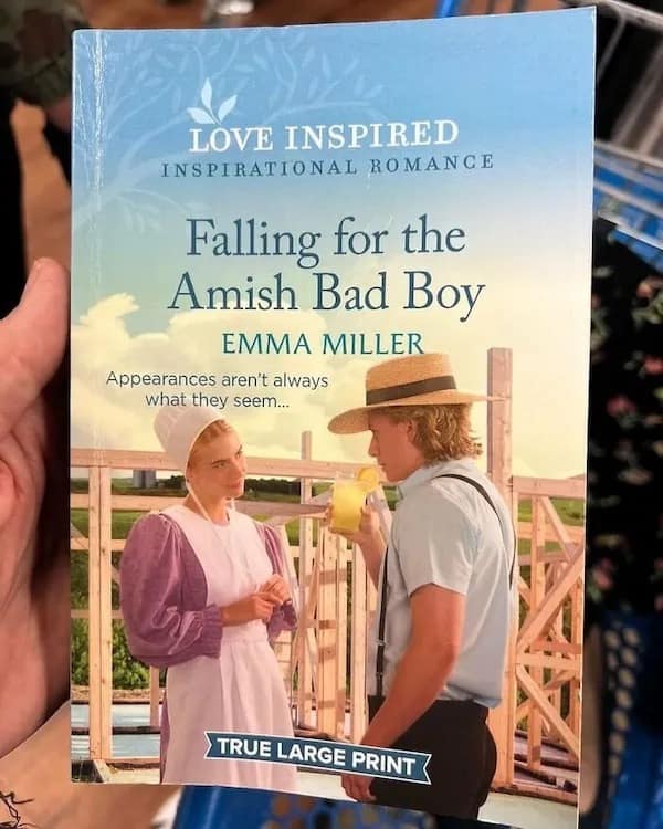 A funny meme showing the cover of a very niche romance novel, "Falling for the Amish Bad Boy."