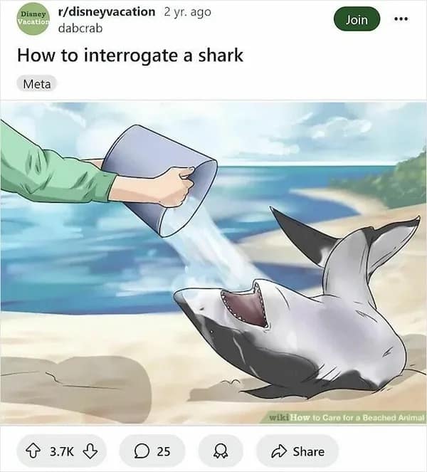 Meme showing how to interrogate a shark by pouring water on it