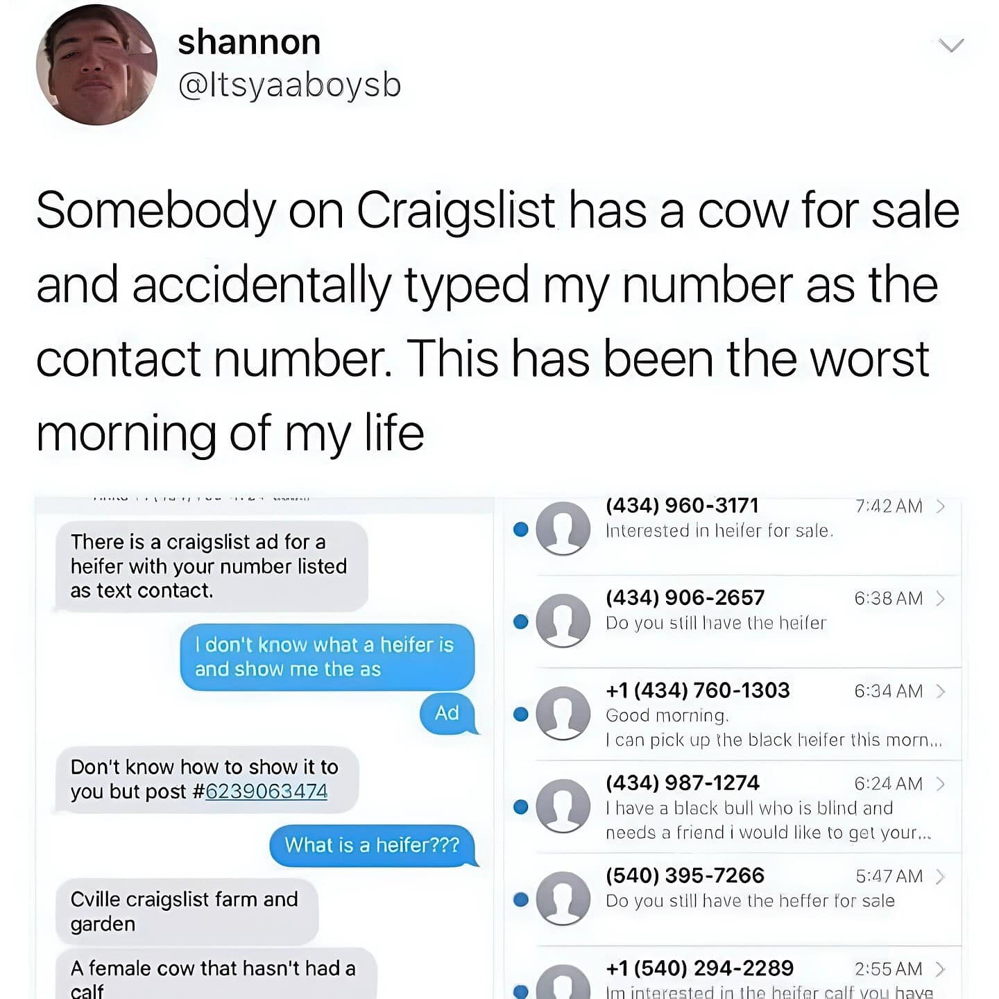A funny meme showing texts a person got after their number was listed on a Craigslist cow ad.