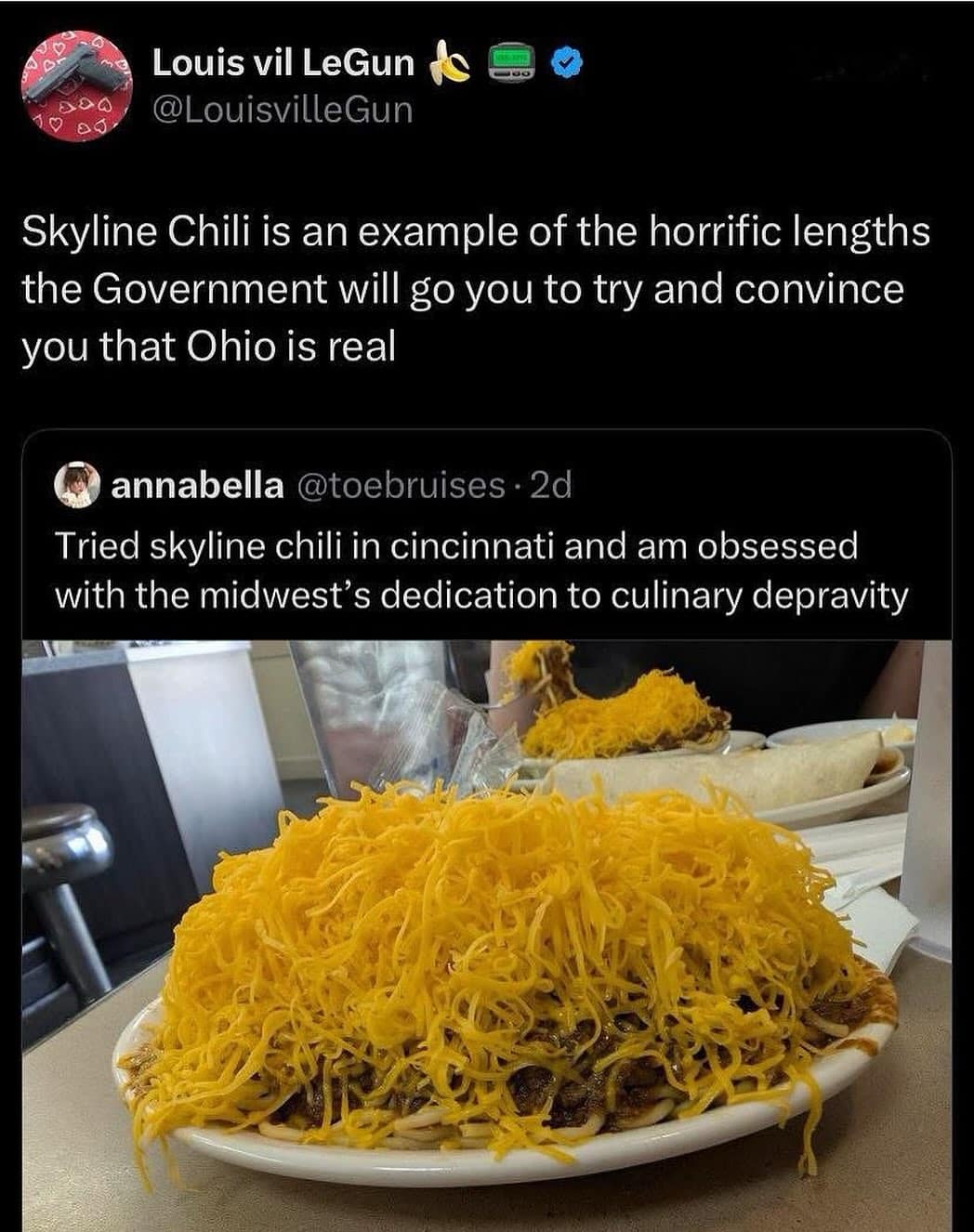 A funny meme from Twitter roasting Skyline Chili and joking that it's a government conspiracy about Ohio.