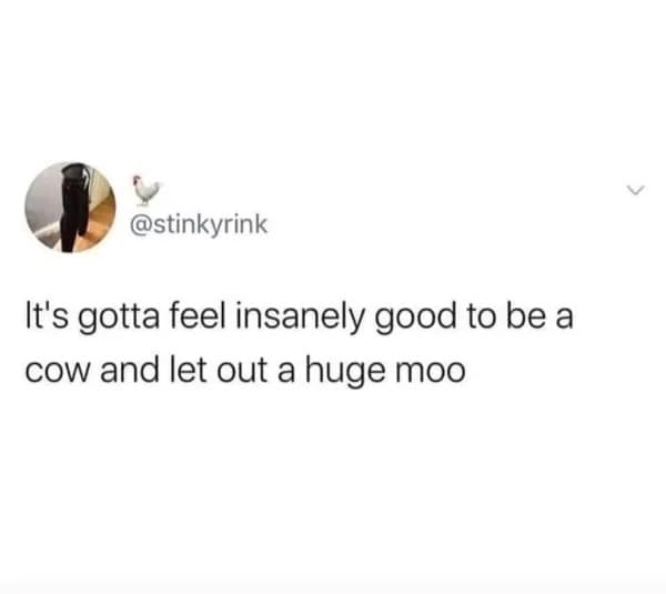 A funny meme from a tweet about how good it must feel to be a cow and moo.