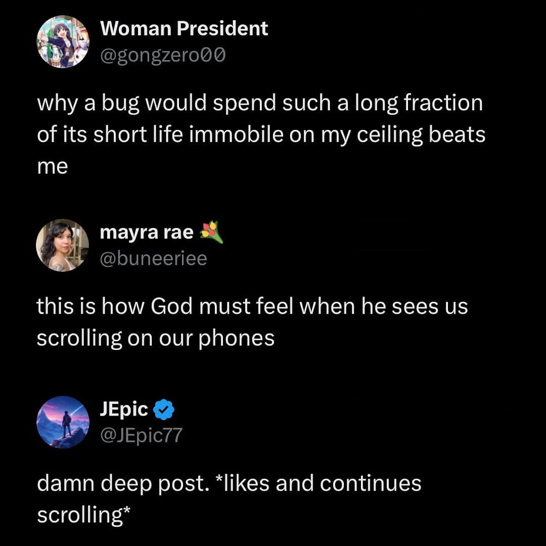A funny meme of a deep Twitter thread about bugs and God, with a relatable final comment.
