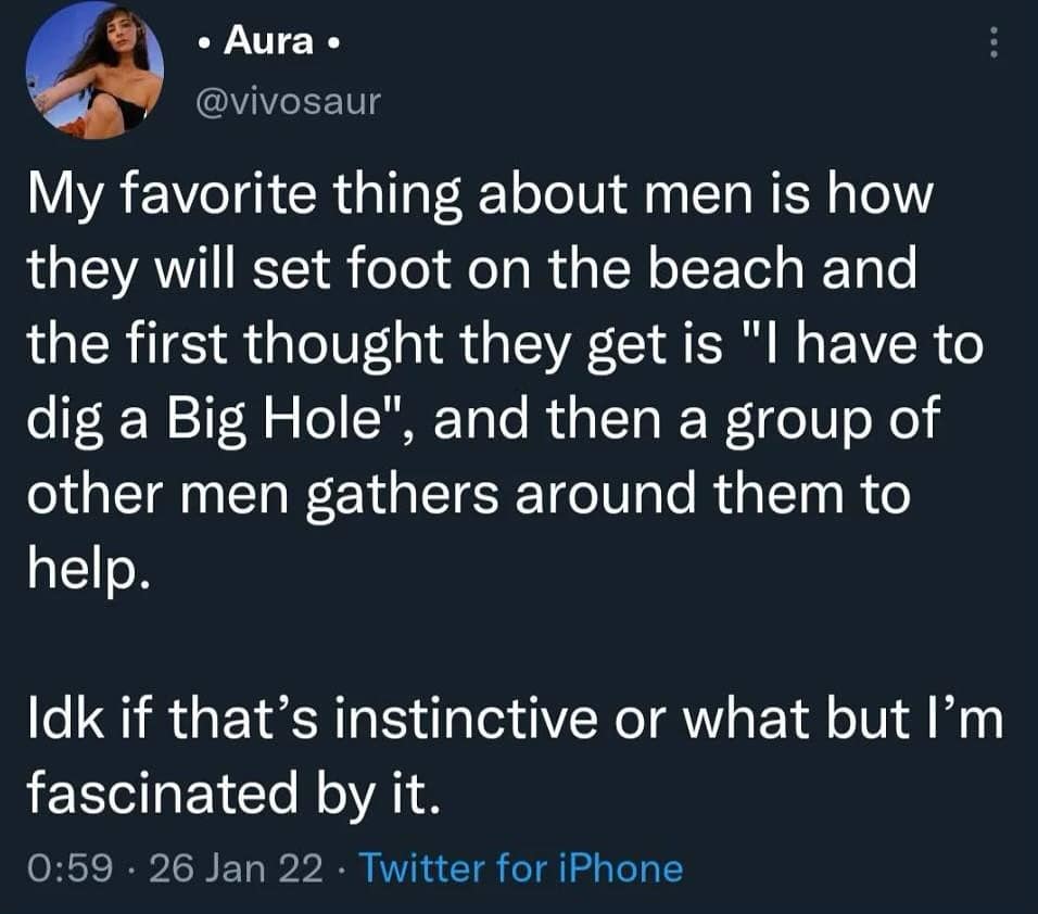 Tweet describing men’s instinct to dig holes at the beach