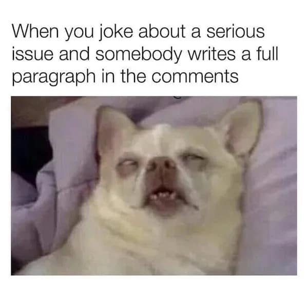 A funny meme with a chihuahua's face for when people take your jokes too seriously.