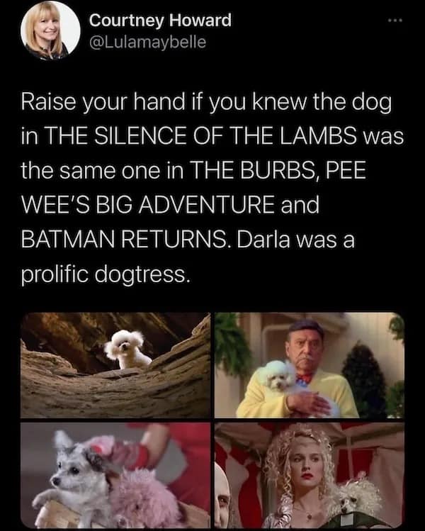 A fun fact meme about the prolific dog actress Darla who was in many famous movies.