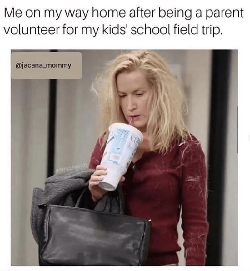 A hilarious mom meme showing an exhausted, disheveled woman after volunteering for a school field trip.