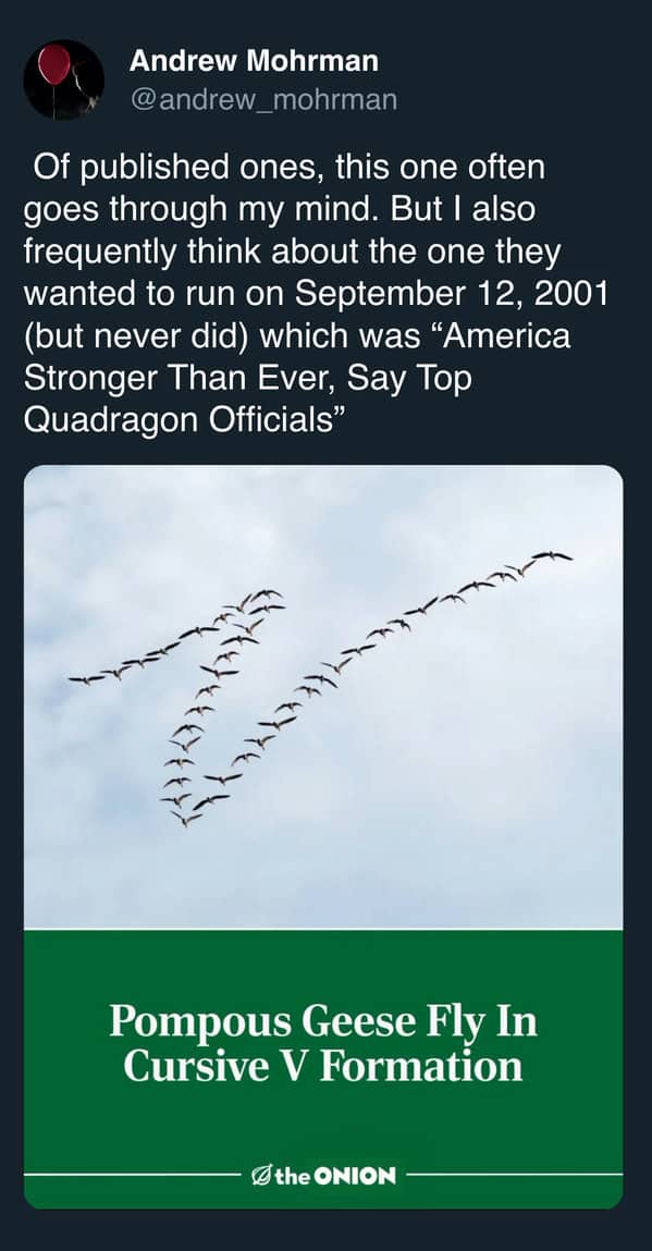 funny Onion headlines about pompous geese flying in cursive V formation