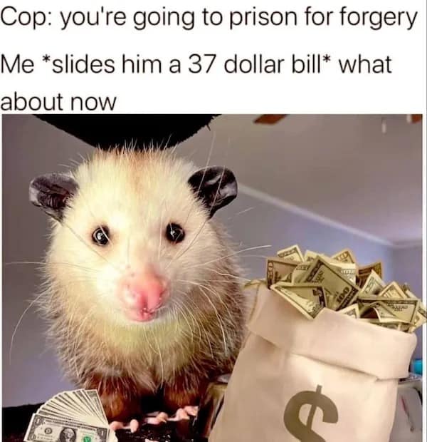 A funny meme about forgery featuring a cute opossum holding a bag of money.