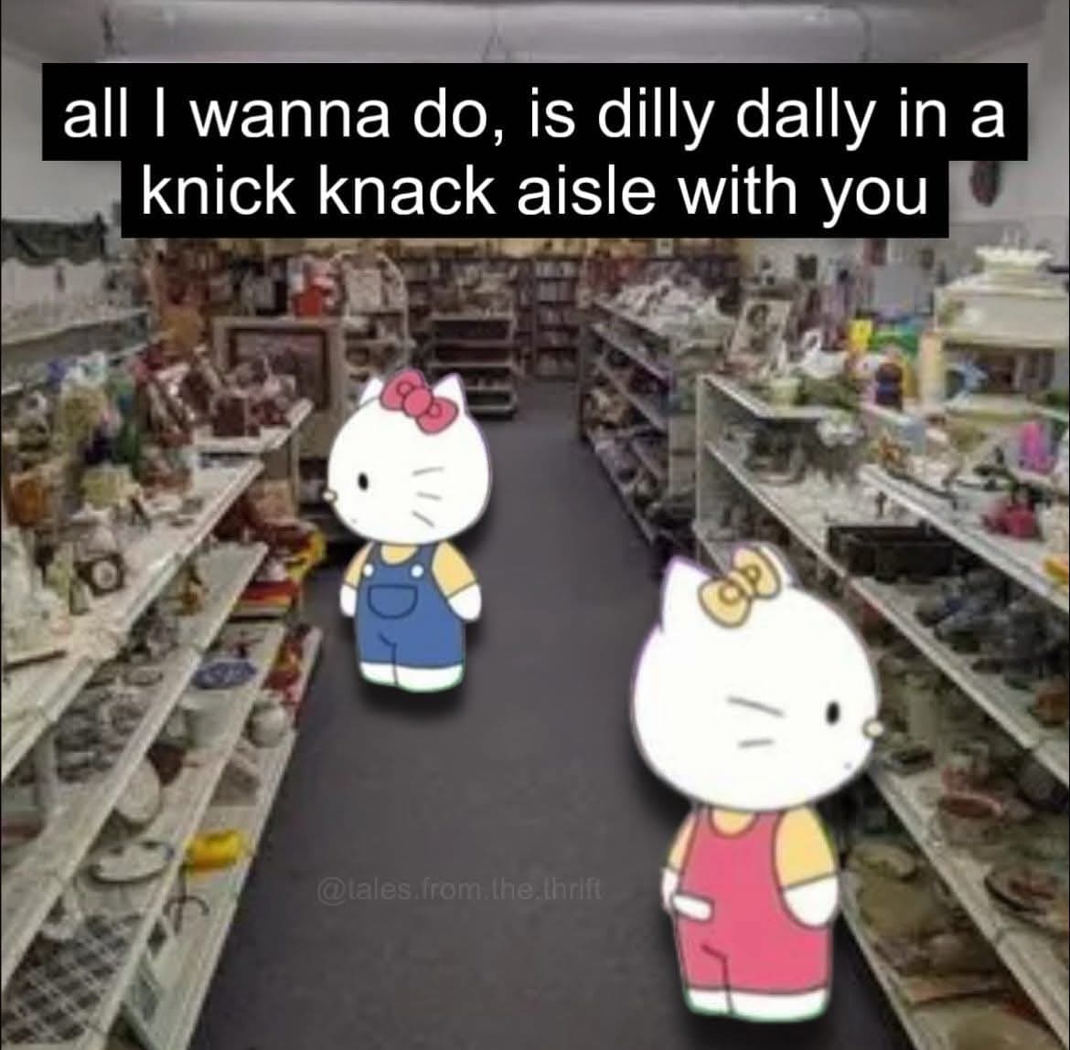 A funny pic of Hello Kitty in a thrift store aisle wanting to "dilly dally".