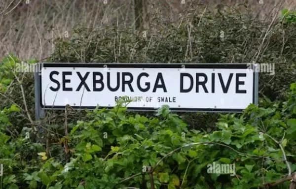 A funny pic of a street sign in England for a road with the unfortunate name of "Sexburga Drive."