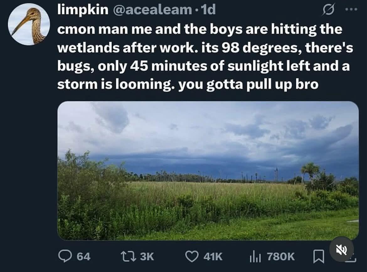 A funny pic of a tweet about men wanting to hang out in miserable conditions.