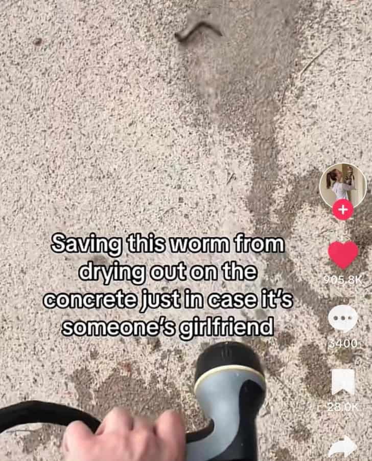 A person sprays a worm on the concrete with a hose to save it.
