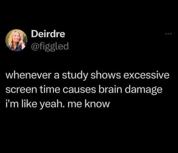Excessive screen time brain damage meme