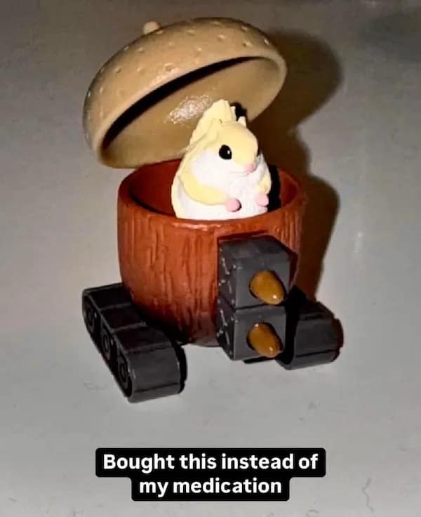 A funny pic of a hamster in an acorn battle tank, bought instead of medication.