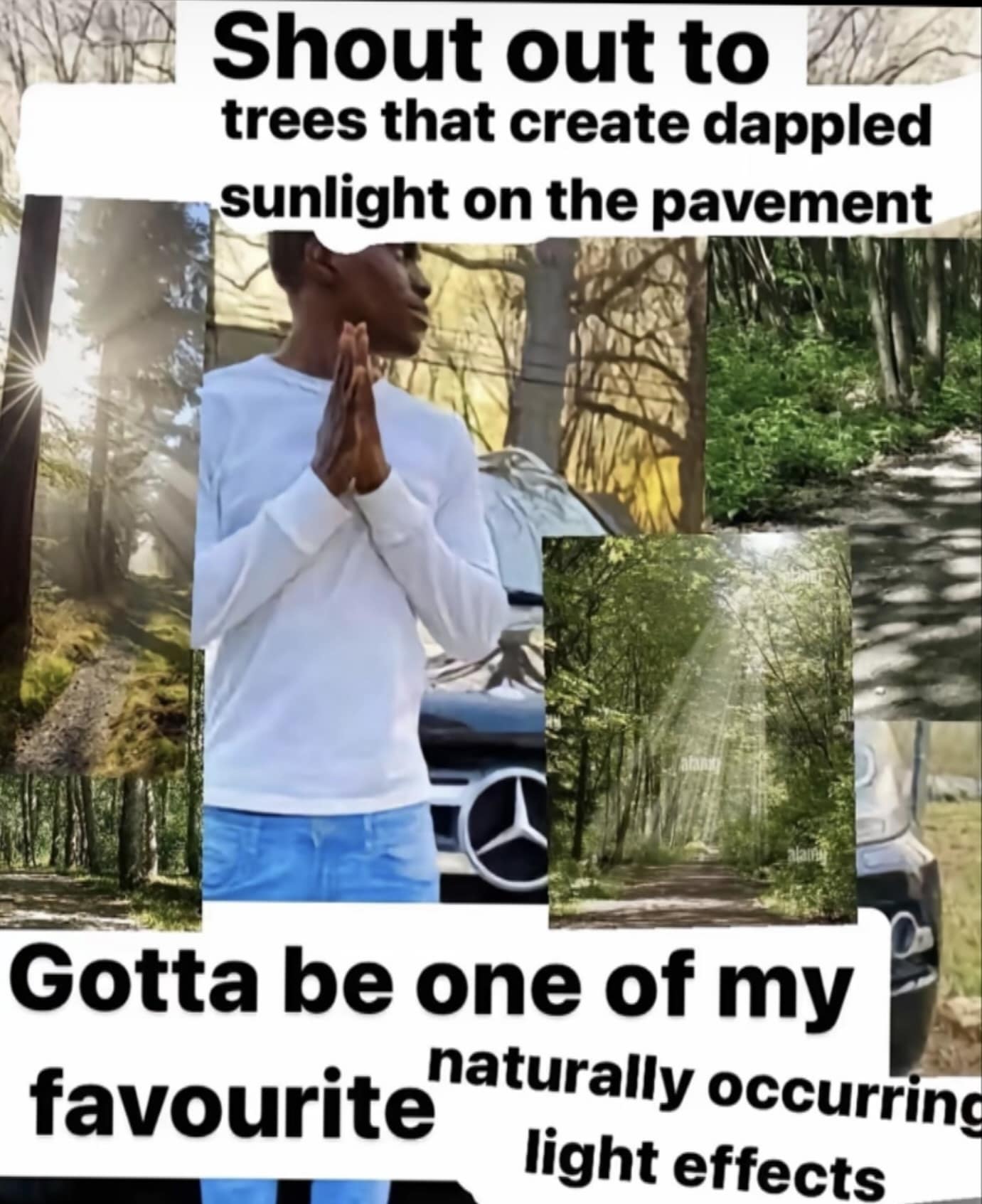 A wholesome meme appreciating the beauty of dappled sunlight created by trees in a forest.