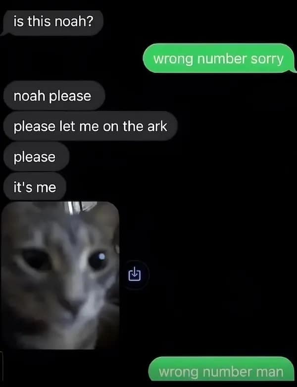A funny wrong number text where a person with a cat picture begs to get on Noah's ark