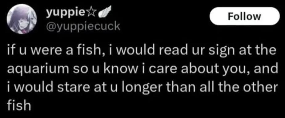 A funny pic of a wholesome and oddly romantic tweet about being a fish.
