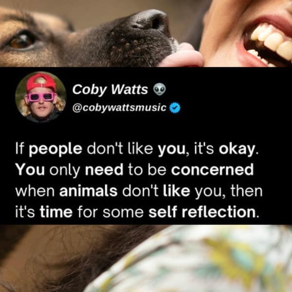 A funny tweet advising self-reflection is needed only when animals don't like you.