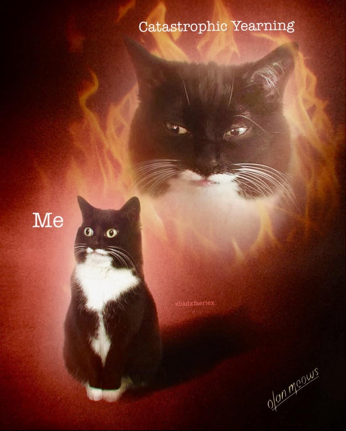 A funny pic of a cat meme about being consumed by "catastrophic yearning."