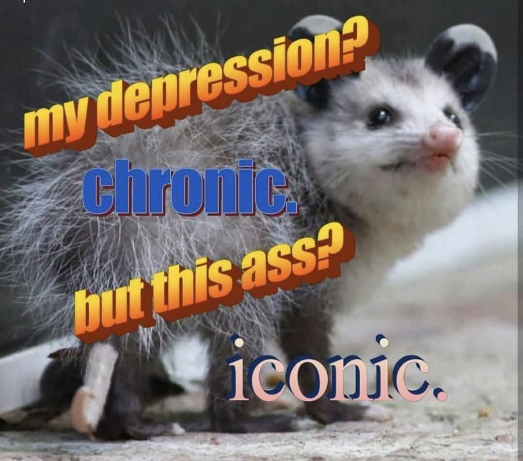 A funny pic of a possum meme about having chronic depression but an iconic butt.