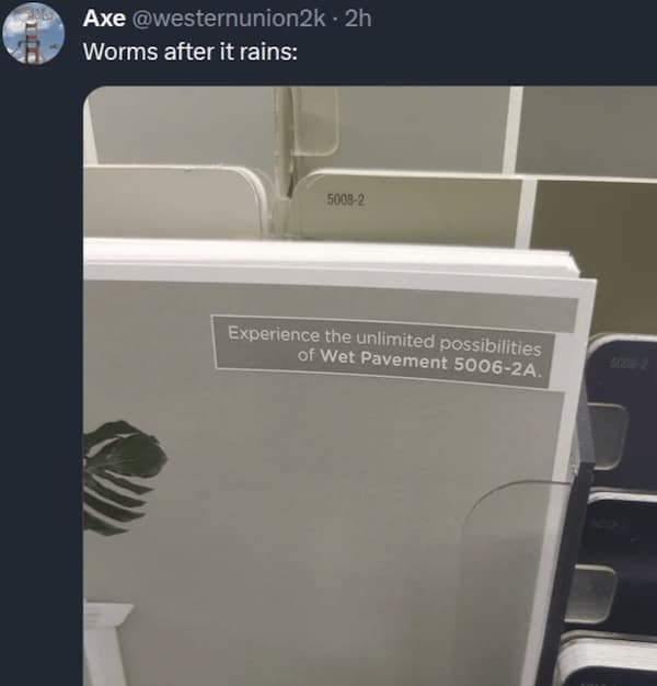 Paint sample labeled "Wet Pavement" used in meme comparing it to worms after rain