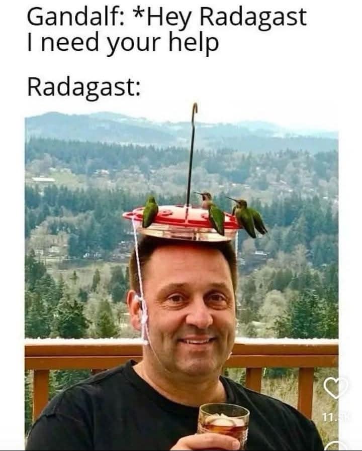 A funny pic showing a Lord of the Rings meme about the wizard Radagast.