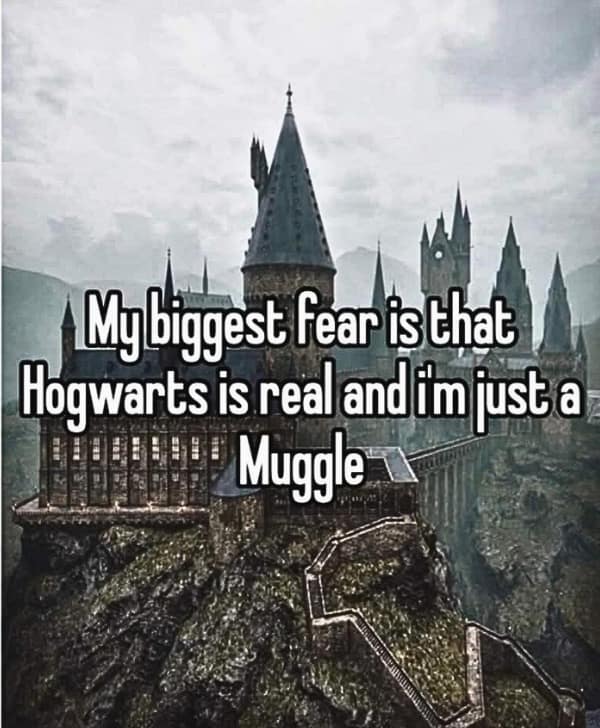 Funny Hogwarts Muggle fear meme