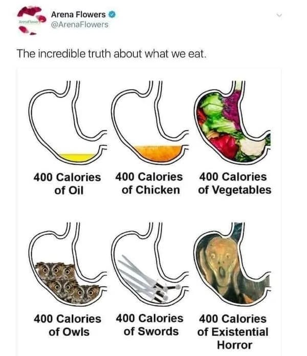 A funny pic of an infographic meme that escalates into showing 400 calories of existential horror.