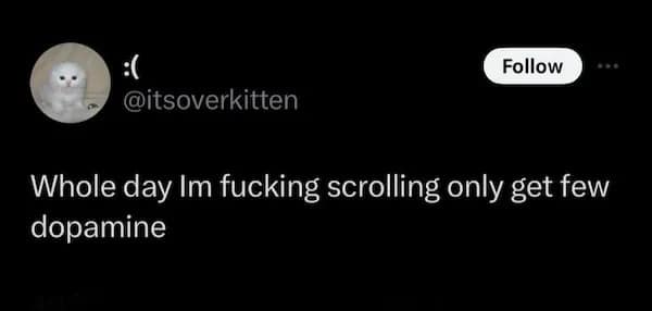 A relatable tweet with a sad kitten about scrolling all day for a little dopamine.