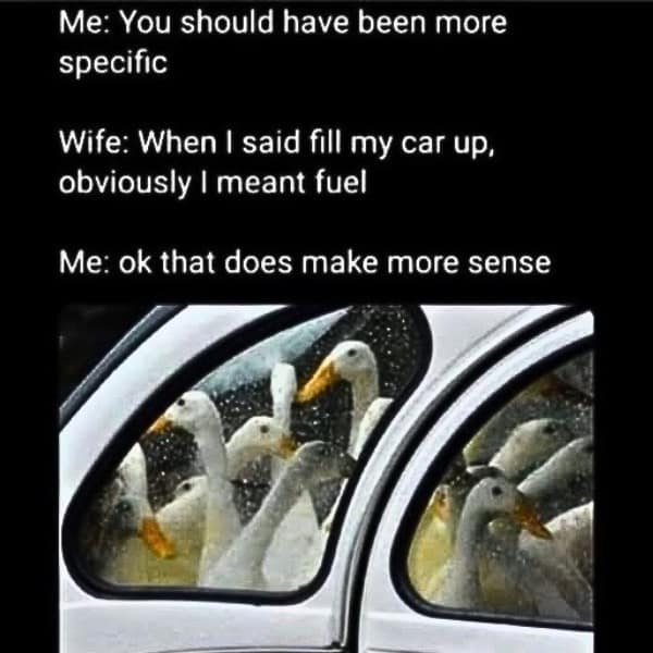A funny picture of a car completely filled with ducks, illustrating a classic dad joke.