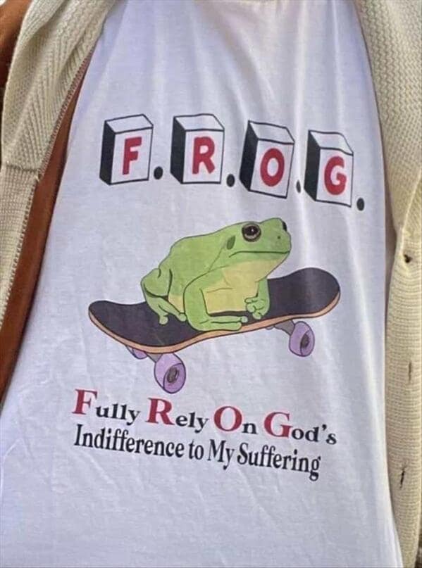 A funny pic of a t-shirt with a cute frog on a skateboard and a dark, existential acronym.