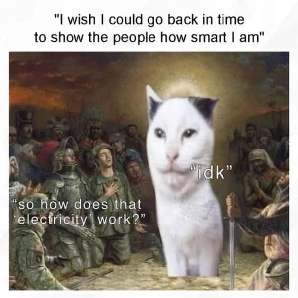 Time travel smart cat meme