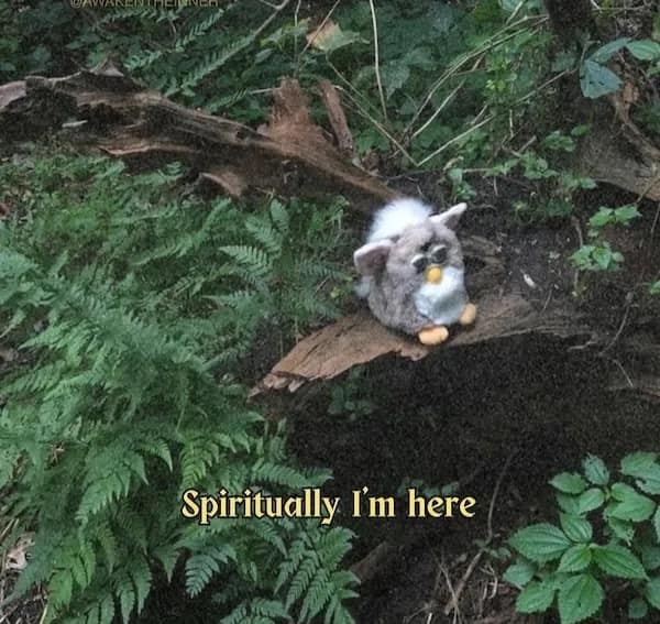 A reaction image featuring a Furby sitting on a log in the woods, captioned "Spiritually I'm here."