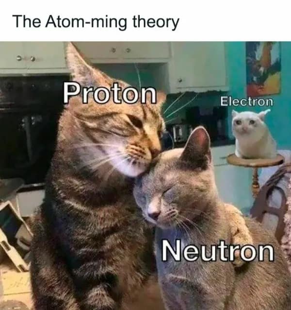 A funny science meme using cute cats to explain the relationship between protons, neutrons, and electrons.