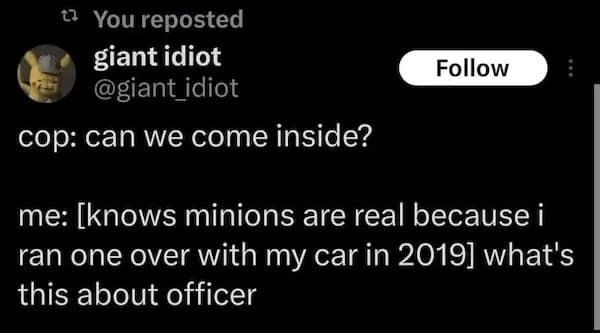 An absurdly funny tweet about hiding the secret of running over a Minion from the police.