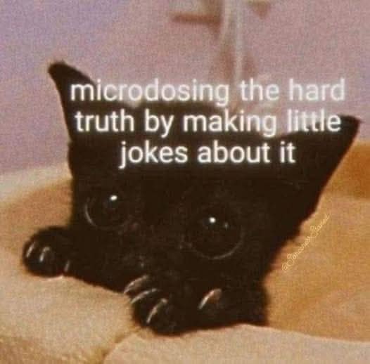 A funny pic of a cute kitten used for a meme about making jokes about hard truths.